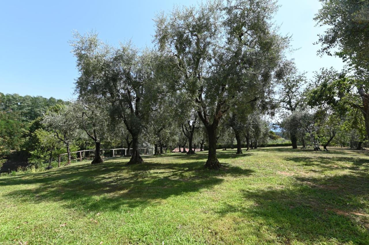 קאפאנורי Agriturismo Corte Stefani מראה חיצוני תמונה